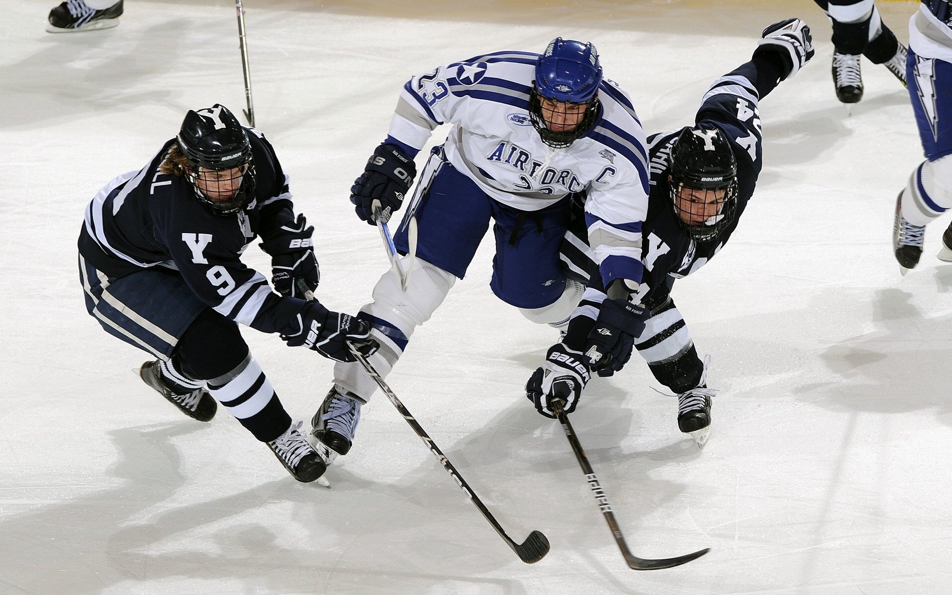 技术雷达图深度解读比赛表现,技术雷达什么意思