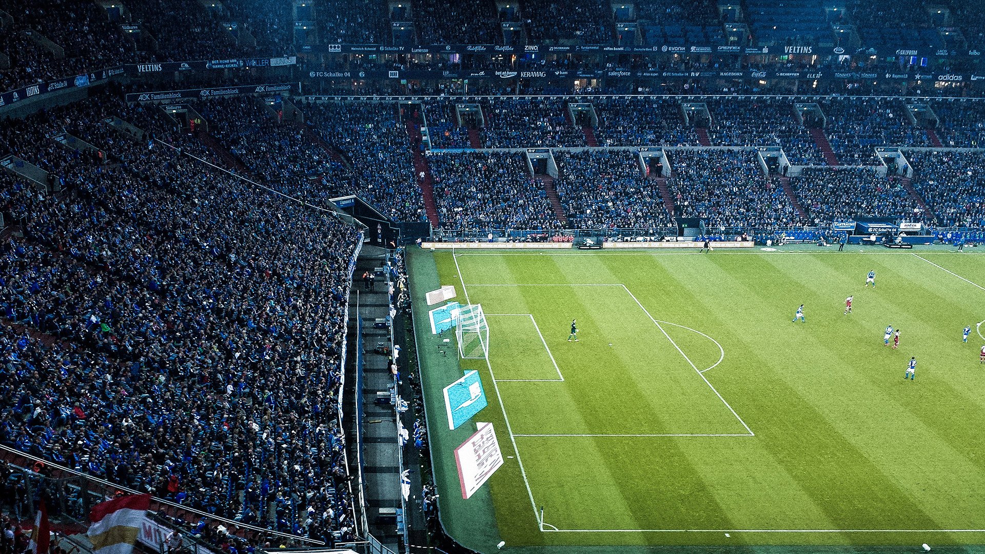 体育焦点赛事深度专栏,体育聚焦